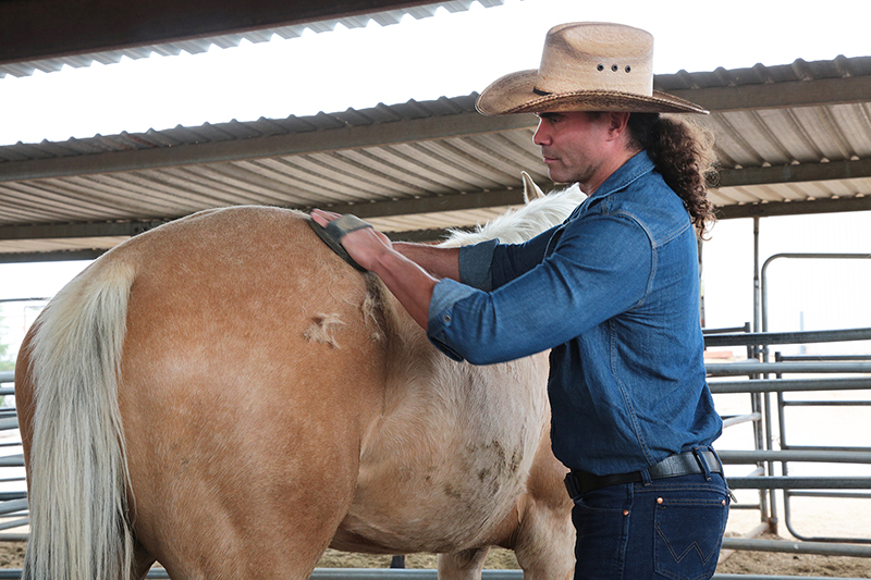Arizona Cowboy College : Arizona : Richard Moore : Photographer